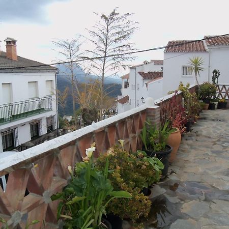 Apartamentos Rurales Jardines Del Visir Genalguacil Ngoại thất bức ảnh