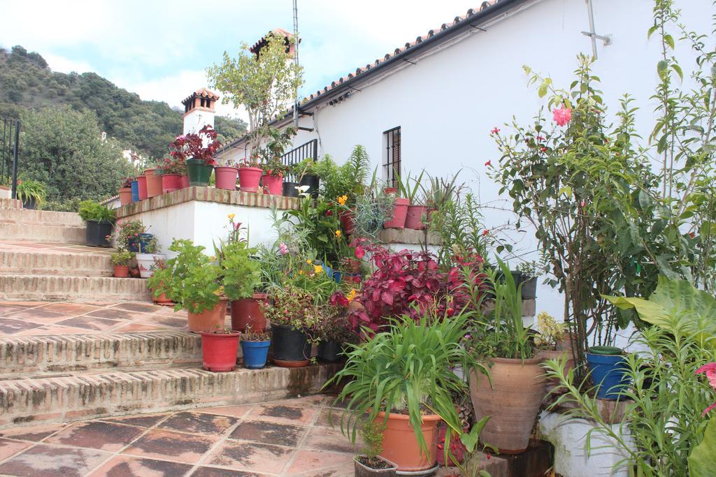Apartamentos Rurales Jardines Del Visir Genalguacil Ngoại thất bức ảnh